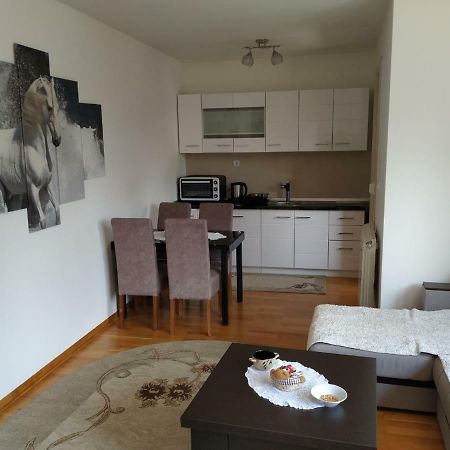 Apartman Lasofti Ζλάτιμπορ Εξωτερικό φωτογραφία